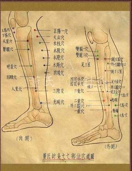 下三皇穴位|下三皇：补肾强身的要穴 